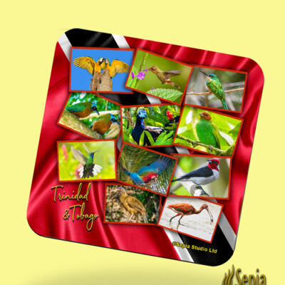 Corkback Coaster (Trinidad & Tobago) Trinidad & Tobago Birds