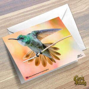 Greeting Cards 5" x 7" (Hummingbird) White Chested Emerald