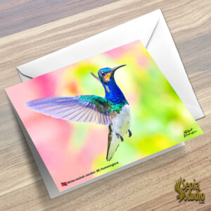 Greeting Cards 5" x 7" (Hummingbird) White necked Jacobin (M)
