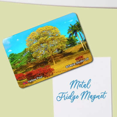 Fridge Magnet (Poui) Yellow Poui