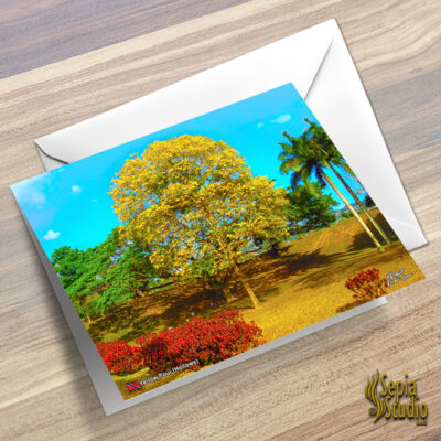 Greeting Cards 5" x 7" (Poui) Yellow Poui