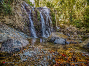 Jigsaw Puzzle (252pcs) Argyle Waterfall Tobago