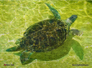 Jigsaw Puzzle (252pcs) Green Turtle