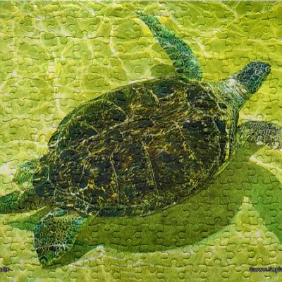Jigsaw Puzzle (252pcs) Green Turtle