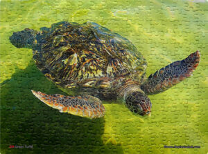 Jigsaw Puzzle (252pcs) Green Turtle