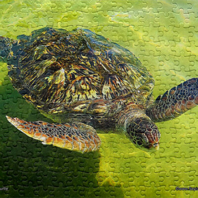 Jigsaw Puzzle (252pcs) Green Turtle