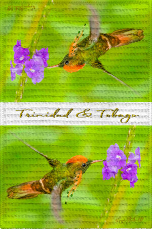 Tea Towel (16" x 24") Tufted Coquette (M) (Hummingbird)