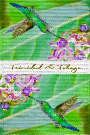 Tea Towel (16" x 24") White Chested Emerald (Hummingbird)