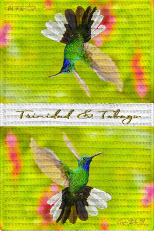 Tea Towel (16" x 24") White Tailed Sabrewing (Hummingbird)